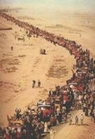 نص الخطاب الملكي السامي بمناسبة الذكرى 30للمسيرة الخضراء