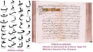 اللغة العربية رغم أنوفهم
