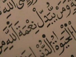 ادجينز والنعمة