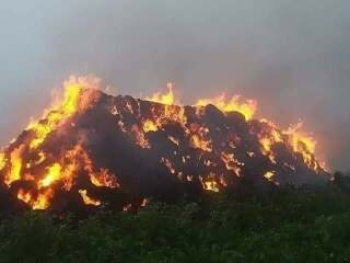 ارتفاع ضحايا الحرائق بمنطقة القبايل وحكومة « الماك » المؤقتة تتهم النظام العسكري الجزائري بمحاولة إبادة شعب القبايل بحرائق مفتعلة