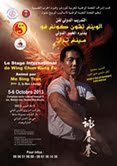 Le secret de Bruce Lee se dévoile au Maroc par le Stage International De Wing Chun Kung-fu