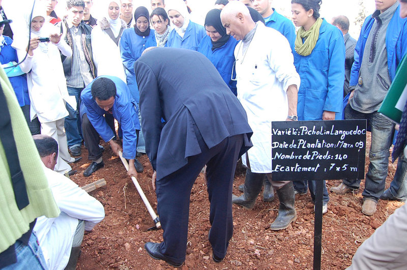 Berkane : Inauguration d’une ferme pédagogique en oliveraie