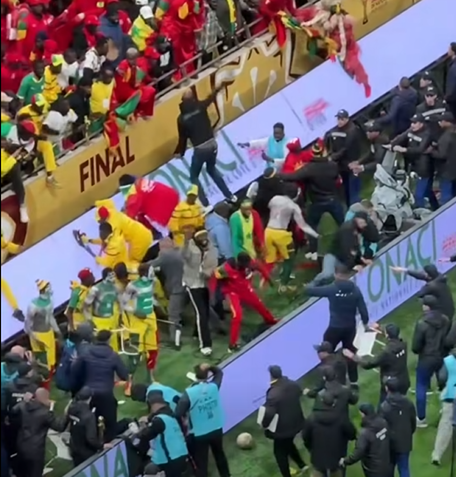 لا تُزَوِّجوا الفيل..