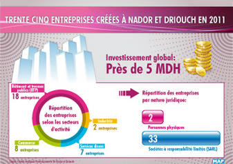 Trente-cinq entreprises créées à Nador et Driouch en 2011 (CRI)