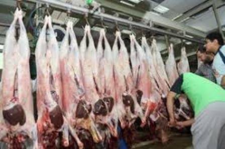 إعلان : جماعة وجدة تضع رهن إشارة السكان مرافق المجازر صبيحة عيد الأضحى