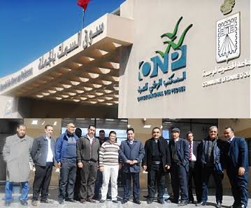 وجدة : 90 في المائة من السمك الأبيض لا يخضع للمراقبة الصحية ولا يمر عبر سوق الجملة للسمك.