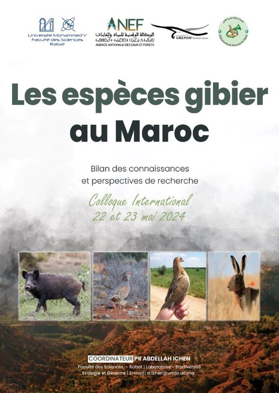 « Les espèces gibier au Maroc : Bilan des connaissances et perspectives de recherche »