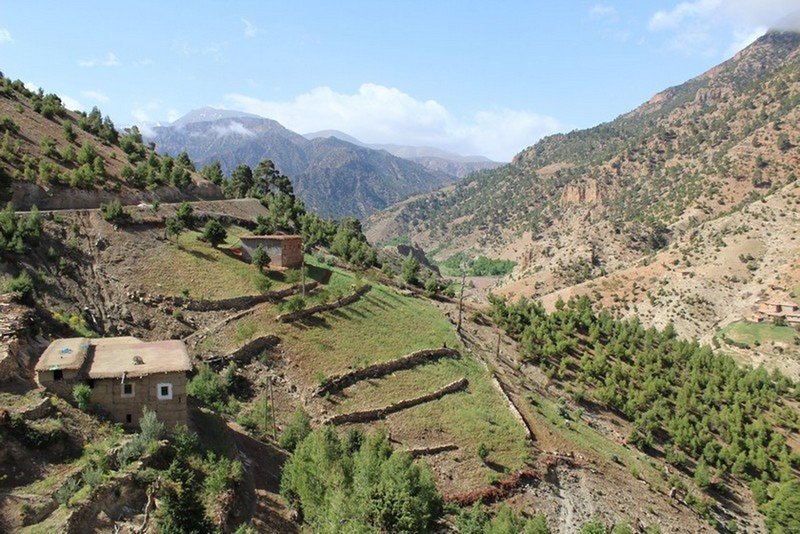 « Campus vivante ; Ecole vivante » : Un centre d&rsquo;éducation holistique  Au cœur de la vallée Amazigh des Ait Bouguemaz