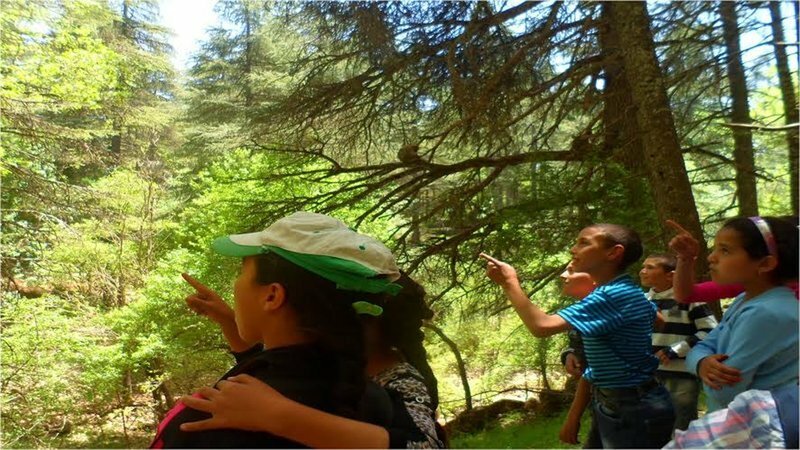Activités de pleine nature au service de la biodiversité du Parc National d’Ifrane (PNI).