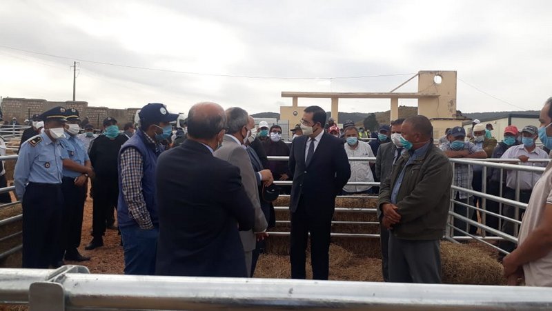 مجهودات السلطة الإقليمية ووزارة الفلاحة تتوج بفتح سوق نموذجي للمواشي بازرو لمدة ثلاثة أيام في الأسبوع