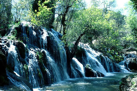 L’ASSOCIATION DES AMIS DU VAL D’IFRANE ET SES PARTENAIRES CELEBRENT LES JOURNEES MONDIALES DES FORETS ET DE L’EAU