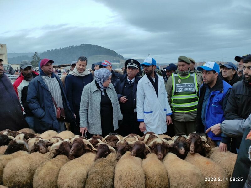 Commission Provinciale du contrôle des prix : Les descentes de contrôle des marchés et des magasins Se poursuivent dans la Province d’Ifrane