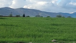 Agriculture : La Campagne agricole 2023-2024 s’annonce Très difficile dans la Province d’Ifrane