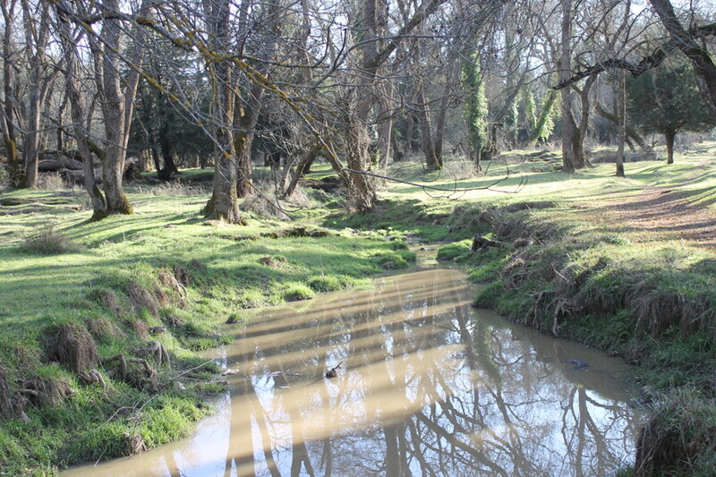 Drame écologique au Val d’Ifrane : Déversement des eaux usées directement dans l’oued Tizguite (ACTE 2)