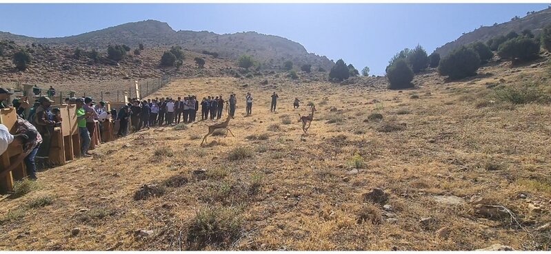 CELEBRATION DE LA J.M.DE LUTTE CONTRE LA DESERTIFICATION