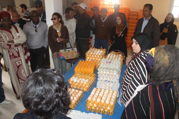 ECONOMIE SOCIAL ET SOLIDAIRE : QUAND LE TISSU ASSOCIATIF VIENT AU SECOURS D’UNE REGION MARGINALISEE SUR LES CIMES DES MONTAGNE DU HAUT ATLAS ORIENTAL