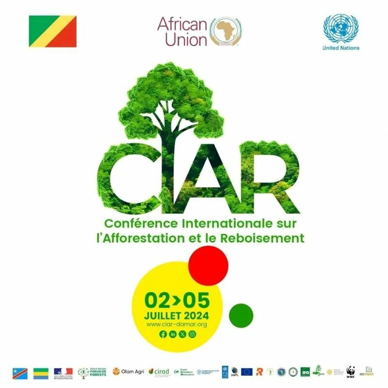 REBOISEMENT : L’ANEF participe activement à la Première Conférence Internationale sur l’Afforestation et le Reboisement