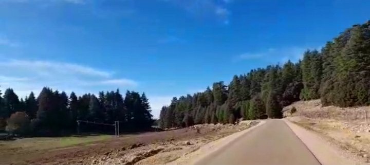 UN REBOISEMENT DE 600000 HECTARES FORESTIER SUR LES 12 REGIONS DU ROYAUME