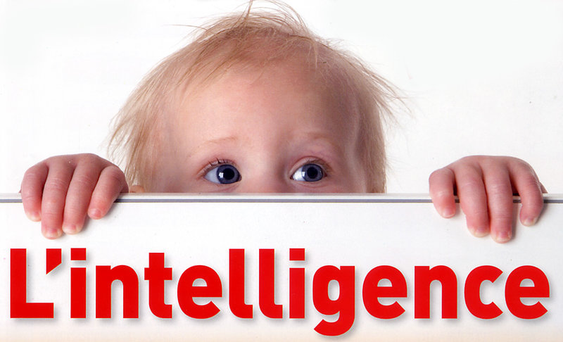 L’intelligence ou les intelligences?