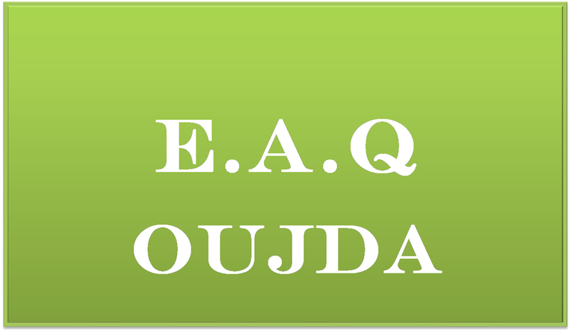 ماذا تعرف عن فرق تنشيط الأحياء بمدينة وجدة؟ الجزء الثاني – المنهج والآليات-