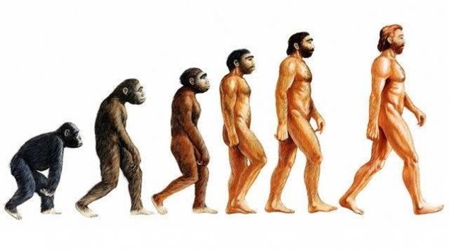 La théorie de l’évolution de Darwin telle qu’elle doit être vue