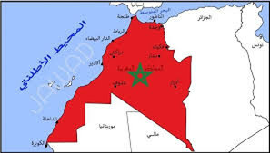 سفاهة زيتوت ورسالته التافهة!
