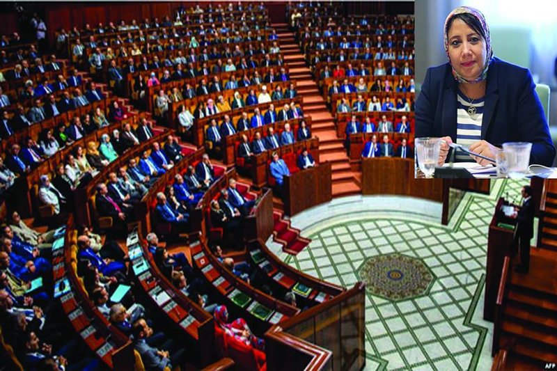 البرلمانية بديعة الفيلالي تنبه وزير التشغيل للأزمة الخانقة التي تعرفها الجهة الشرقية VIDEO