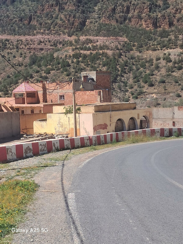 زغاريد في الوادي..