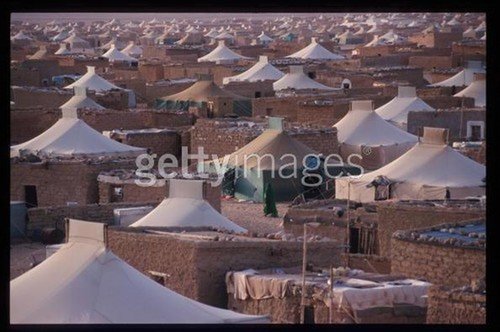 البوليساريو أمام خيارين لا ثالث لهما ..اما حكم ذاتي أو عمل إرهابي