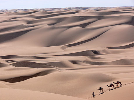 la traversée du désert