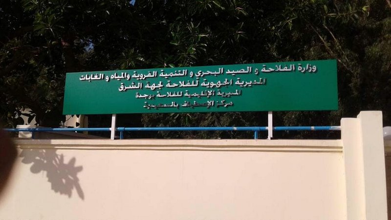 Communiqué syndical à propos du centre d’estivage du secteur agricole à Saïdia