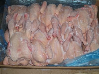 اكتشاف أكبر مجزرة سرية للدجاج ببركان، وحجز جبن مستورد من مصر منتهية الصلاحية