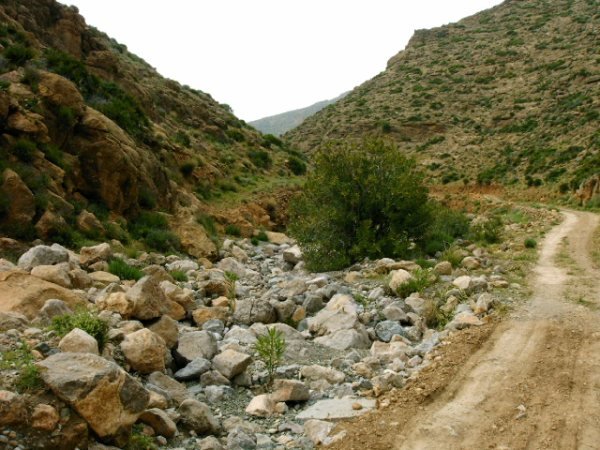 الجنان المنسية