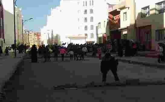 بعد موسم القمل، الجرذان تغزو بعض مدارس الجزائر