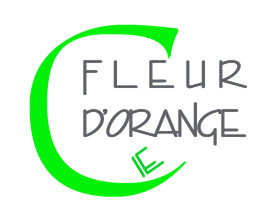 La Cie Fleur d’Orange organise ACTION DANSE 4 / COMMUNIQUE DE PRESSE