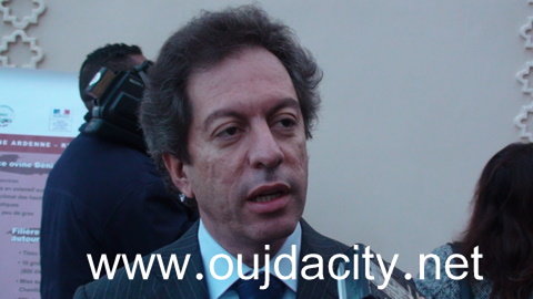 مجلس الجهة الشرقية / بيان صحفي