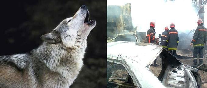 حريق سوق المتلاشيات ـ لافيراي ـ بحي كولوش قد يعجل برحيلهم الى طريق جرادة