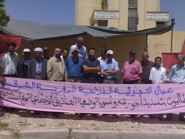 وجدة: اعتصام مفتوح لعمال تعاونية الحبوب