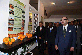 Salon International de l’agriculture de Meknès : vitrine internationale d’un Maroc authentique