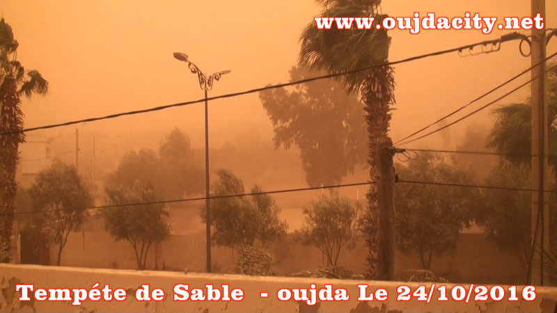 Une tempête de sable frappe la ville d’Oujda et la nécessité de la création d’une ceinture verte au sud de la ville – VIDEO