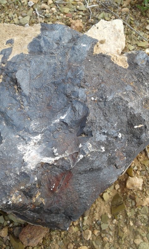 عن الحراك الثاني لجرادة: ثراء زكراوي « من الذهب »