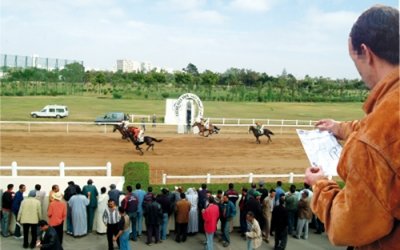 مهووسو القمار.. يراهنون بأجورهم وأثات بيوتهم لـ«حل» مشاكلهم المادية