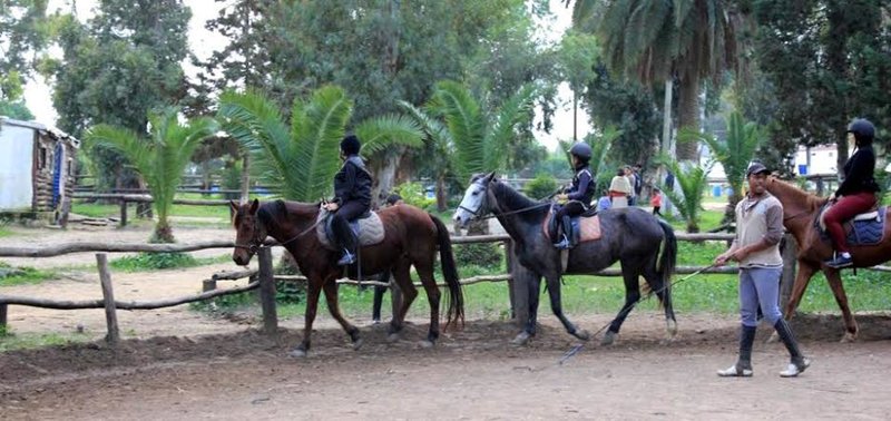 تنسيقية حماية البيئة والمناطق الخضراء بطنجة بيان استنكاري