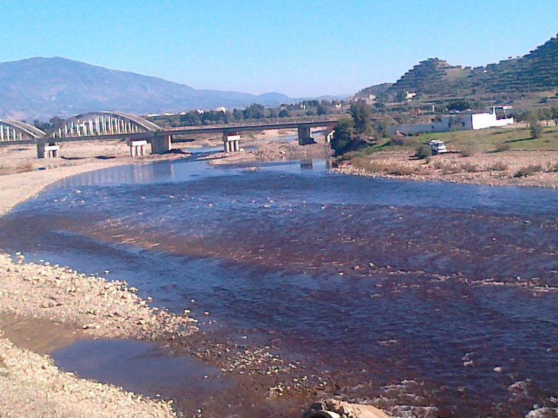 سد الوحدة باقليم تاونات يستغيث من تلوث مياهه بمادة المرجان