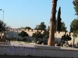 وجدة : الى متى تظل المدينة بدون معرض دولي ؟؟؟؟