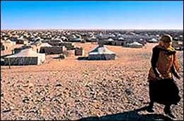 فرار حوالي 238 شخصا من مخيمات تيندوف والتحاقهم بالمغرب