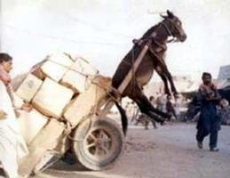 ما أثقل الحل… ولك التعليق