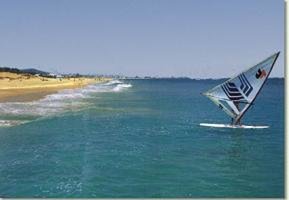 إلى من يهمهم الأمر : العطلة للجميع