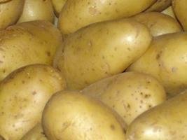 تهريب عشرات الأطنان من البطاطس يرفع سعرها بالجهة الشرقية