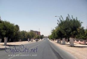 Anniversaire de la Marche verte : Inauguration et lancement de projets de développement